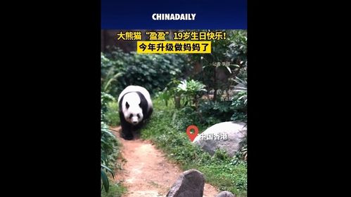 中國(guó)日?qǐng)?bào) 信息網(wǎng)絡(luò)傳播視聽節(jié)目的規(guī)范與發(fā)展